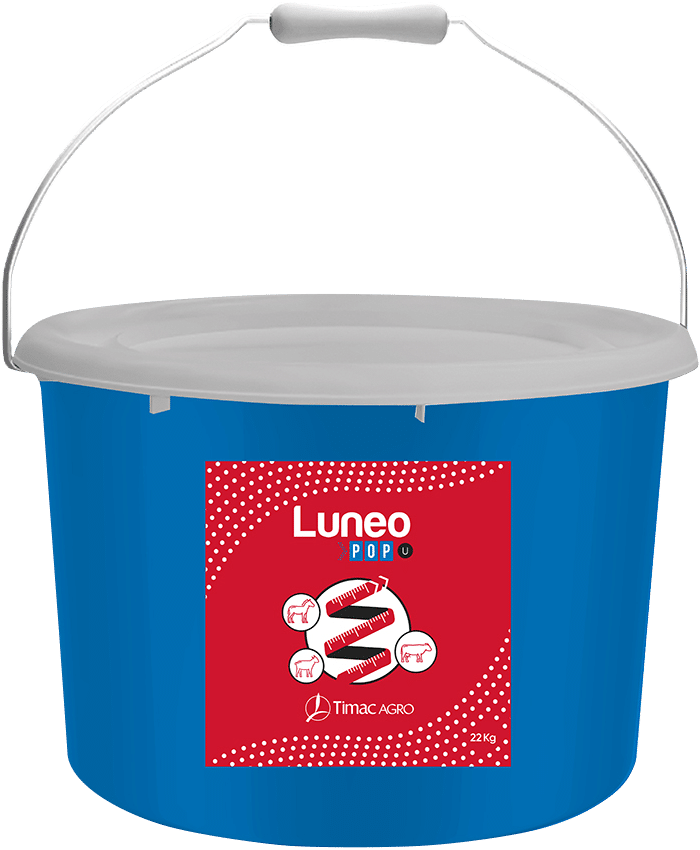 LUNEO POP-U